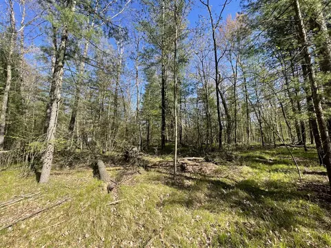 8205 E 32nd, Chase, MI 49623 photo 9