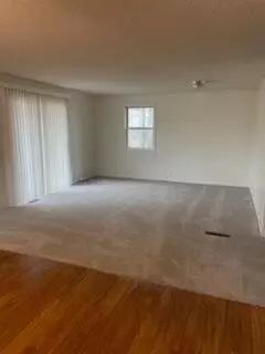222 W Gilson, Edmore, MI 48829 photo 6