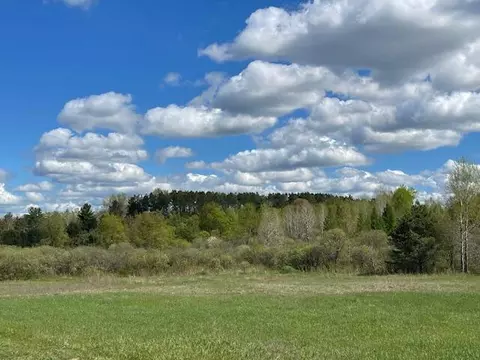 30 Acres Ml 210th, Leroy, MI 49655