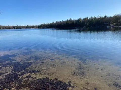 9754 W Central Park, Baldwin, MI 49304