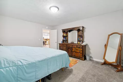 2630 Lansing, Crystal, MI 48818 photo 20
