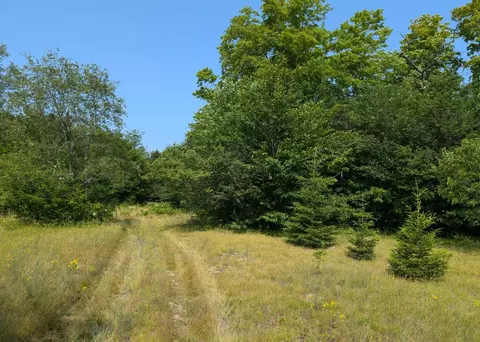 Hiawatha, Naubinway, MI 49762