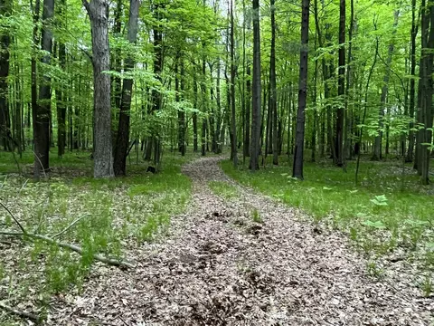 6578 W Stanton Rd, Stanton, MI 48888 photo 6