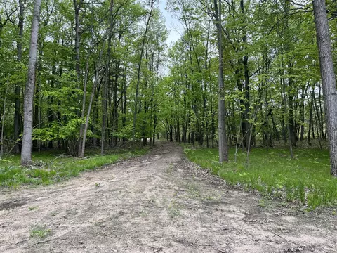 6578 W Stanton Rd, Stanton, MI 48888 photo 5