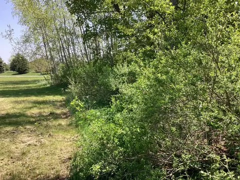 0 Third St #LOT 33, Arcadia, MI 49613 photo 6
