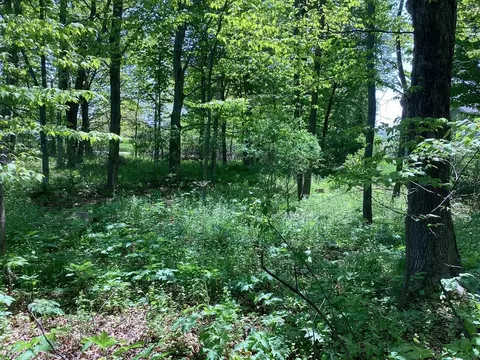 0 Third St #LOT 33, Arcadia, MI 49613 photo 5
