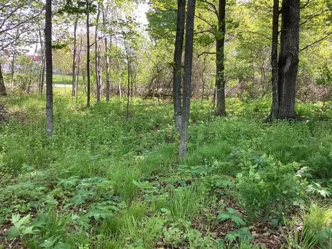 0 Third St #LOT 33, Arcadia, MI 49613 photo 8