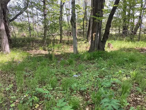 0 Third St #LOT 33, Arcadia, MI 49613 photo 7