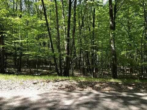 11914 Broken Arrow # 238, Canadian Lakes, MI 49346