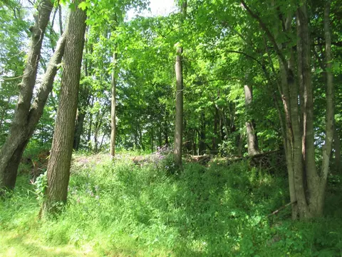 E South, Marcellus, MI 49067