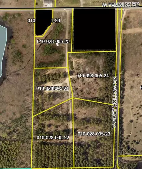 V/l Fenwick Road, Fenwick, MI 48838