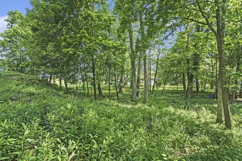 47102 Cedar, New Buffalo, MI 49117 photo 2