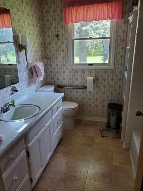 54601 Silver, Mendon, MI 49072 photo 21