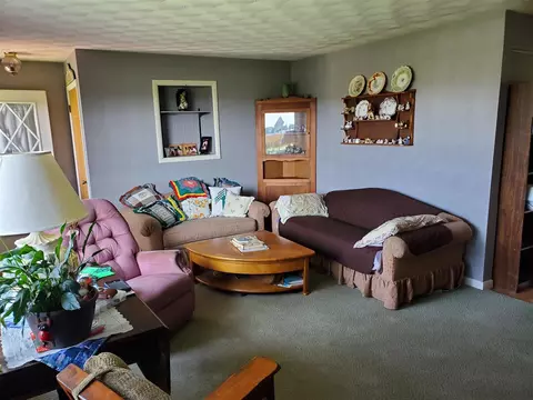 54601 Silver, Mendon, MI 49072 photo 19
