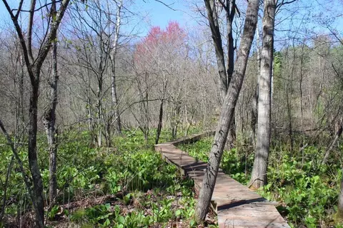 0 Ewing Road D, Twin Lake, MI 49457