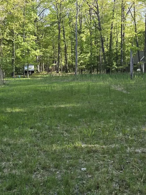 lot4516 Ridge Rd, Mears, MI 49436