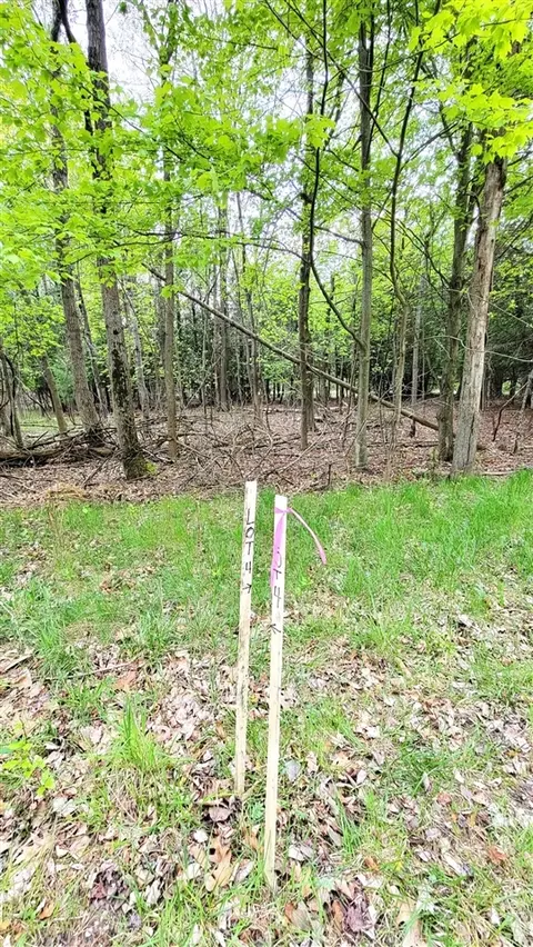 bonita LOT 4, Onekama, MI 49675