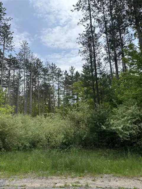 V/l W Dickerson Lake, Gowen, MI 49326