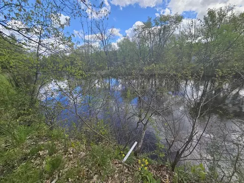 View/Area - 8648 Monterey Dr, Evart, MI 49631 photo 4 of 4