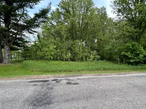 pine tree lane LOT 29, Three Rivers, MI 49093 photo 2