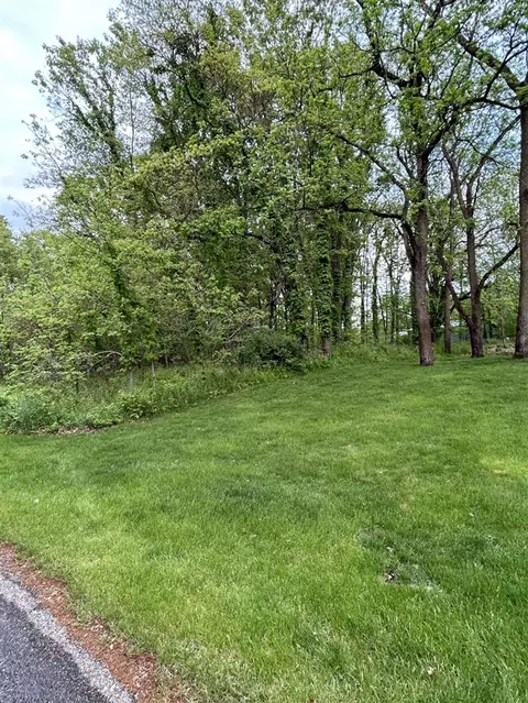 pine tree lane LOT 28, Three Rivers, MI 49093 photo 3