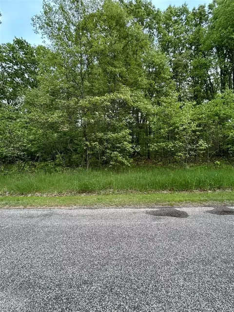 pine tree lane LOT 28, Three Rivers, MI 49093 photo 2