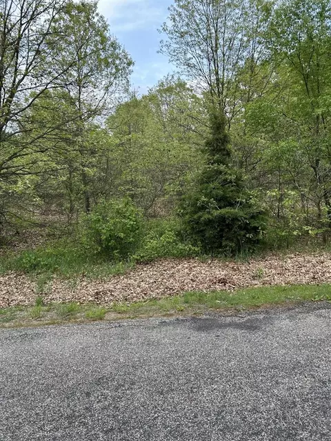 pine tree lane LOT 16, Three Rivers, MI 49093 photo 2