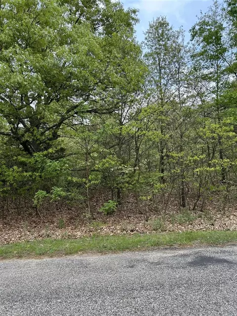 pine tree lane LOT 16, Three Rivers, MI 49093 photo 3