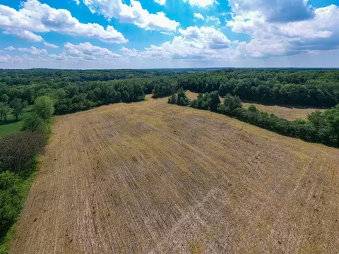 V/l Buffalo, Buchanan, MI 49107 photo 18