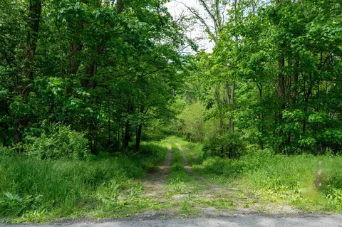 V/l Buffalo, Buchanan, MI 49107 photo 28