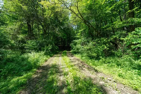 V/l Buffalo, Buchanan, MI 49107 photo 35