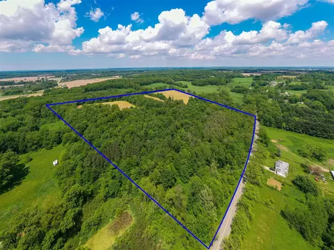 V/l Buffalo, Buchanan, MI 49107 photo 39