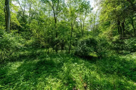 V/l Buffalo, Buchanan, MI 49107 photo 36