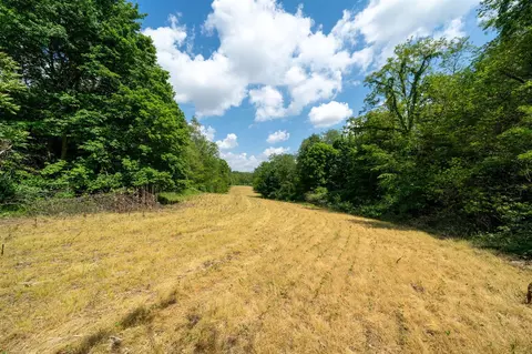 V/l Buffalo, Buchanan, MI 49107 photo 25