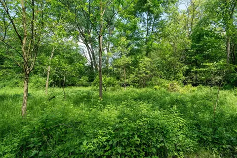 V/l Buffalo, Buchanan, MI 49107 photo 27