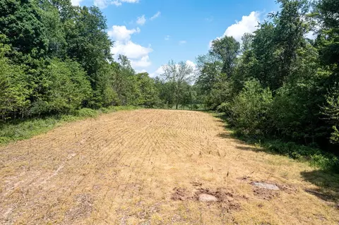 V/l Buffalo, Buchanan, MI 49107 photo 9
