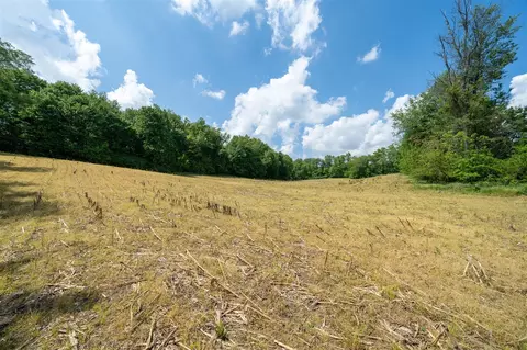 V/l Buffalo, Buchanan, MI 49107 photo 17