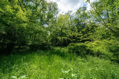 V/l Buffalo, Buchanan, MI 49107 photo 26