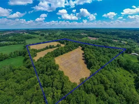 V/l Buffalo, Buchanan, MI 49107 photo 38