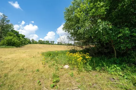 V/l Buffalo, Buchanan, MI 49107 photo 15