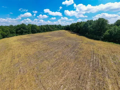 V/l Buffalo, Buchanan, MI 49107 photo 22