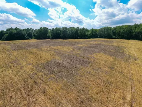 V/l Buffalo, Buchanan, MI 49107 photo 23
