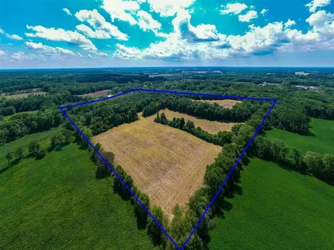 V/l Buffalo, Buchanan, MI 49107 photo 37