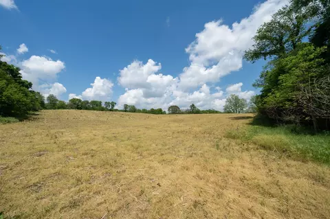 V/l Buffalo, Buchanan, MI 49107 photo 16