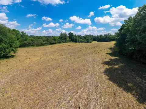V/l Buffalo, Buchanan, MI 49107 photo 21