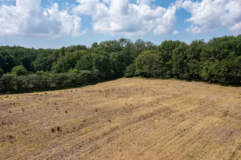 V/l Buffalo, Buchanan, MI 49107 photo 12