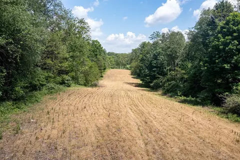 V/l Buffalo, Buchanan, MI 49107 photo 8