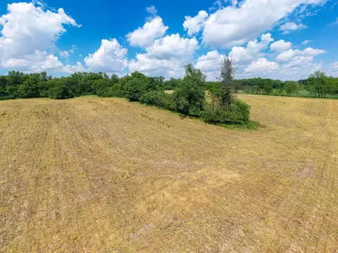 V/l Buffalo, Buchanan, MI 49107 photo 20
