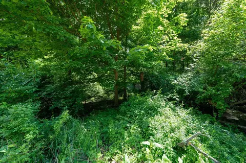 V/l Buffalo, Buchanan, MI 49107 photo 30