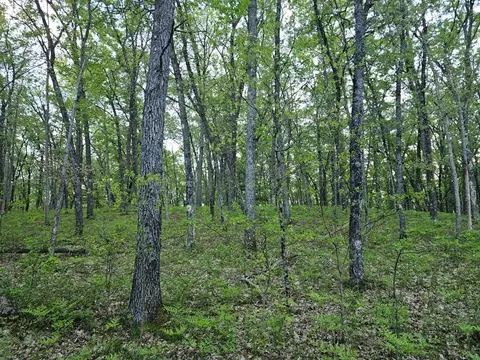 V/l Brooks, Baldwin, MI 49304 photo 3